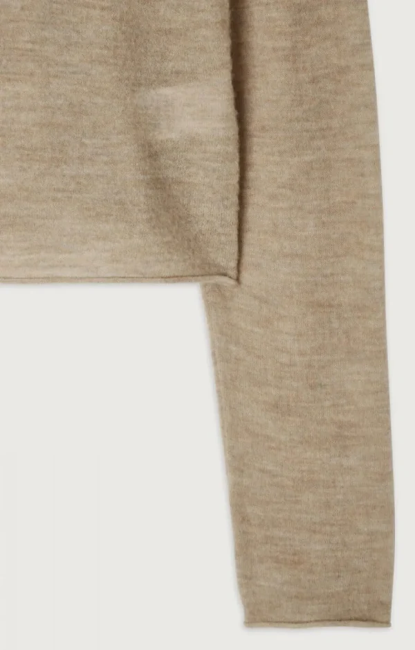 American Vintage | Damenpullover Zyrobow Samen Multimeliert